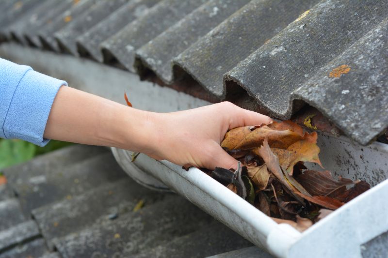 Leaf-Free Gutter System